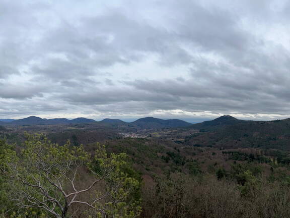 24-03-01 13-36-59 8877